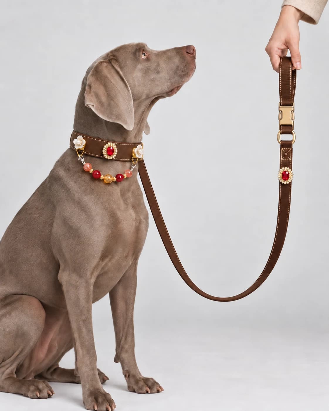 Goldkristall-und-Roter-Achat-Halsband an einem Haustier