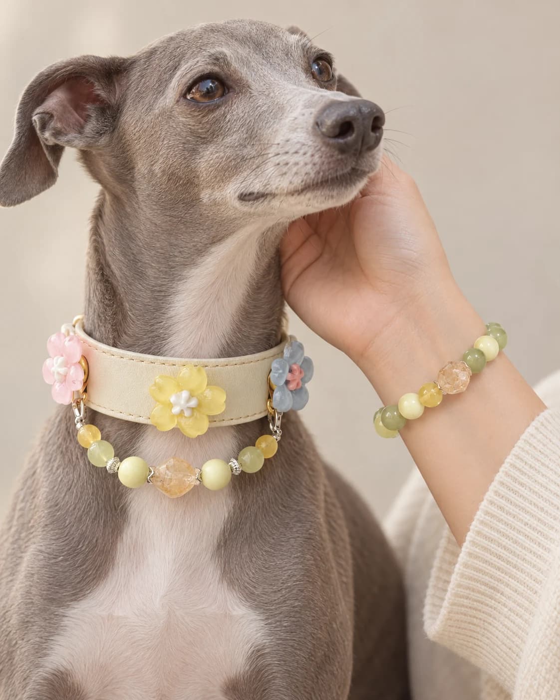 Zitronenjade-Blüten-Halsband an einem Haustier