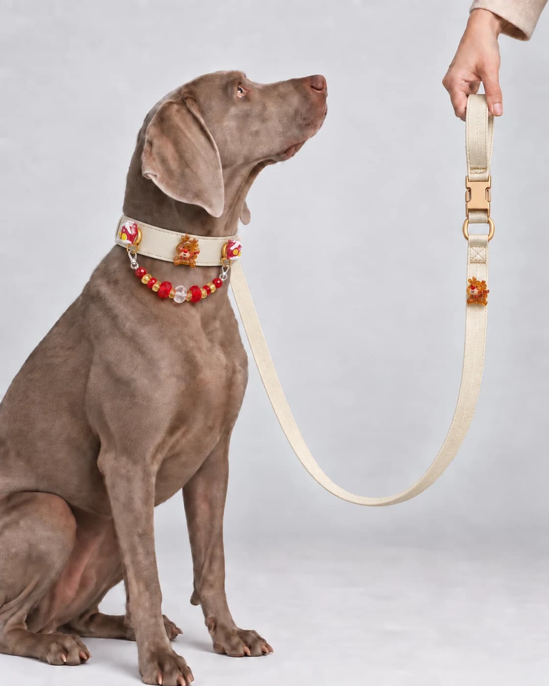 Rentier-Scharlach-Halsband · Elfenbein an einem Haustier