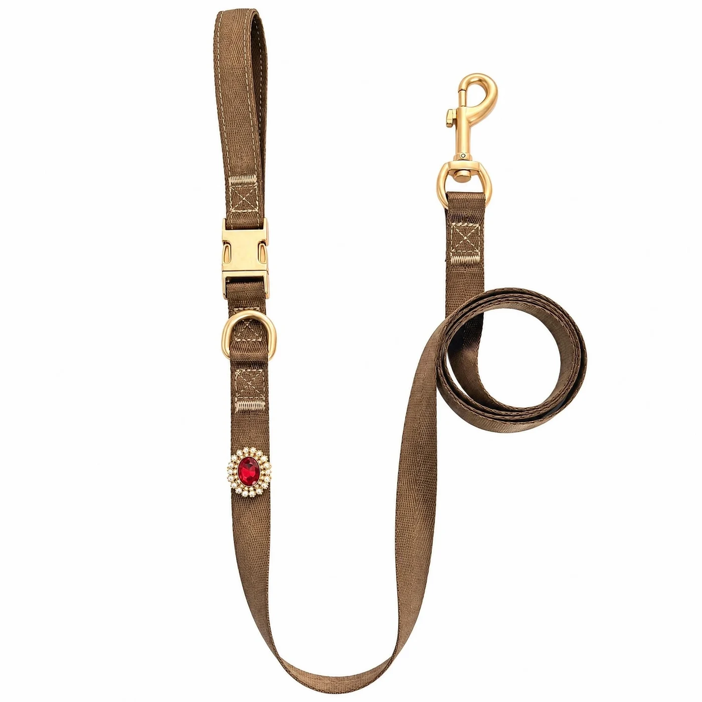Brown coordinating leash with a gold-tone clip at one end and a red decorative ornament near the handle