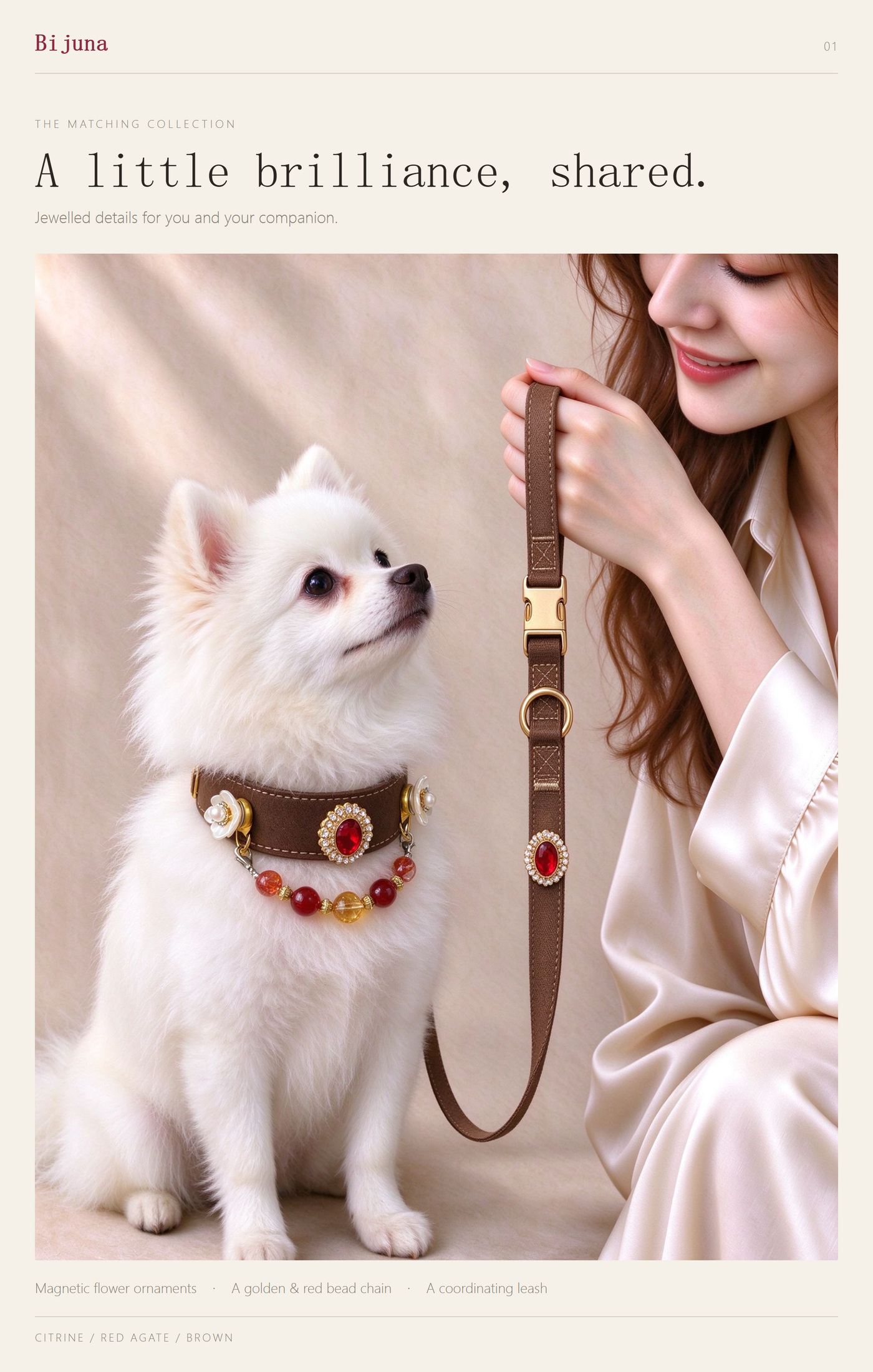 Detailübersicht für Goldkristall-und-Roter-Achat-Halsband, 1