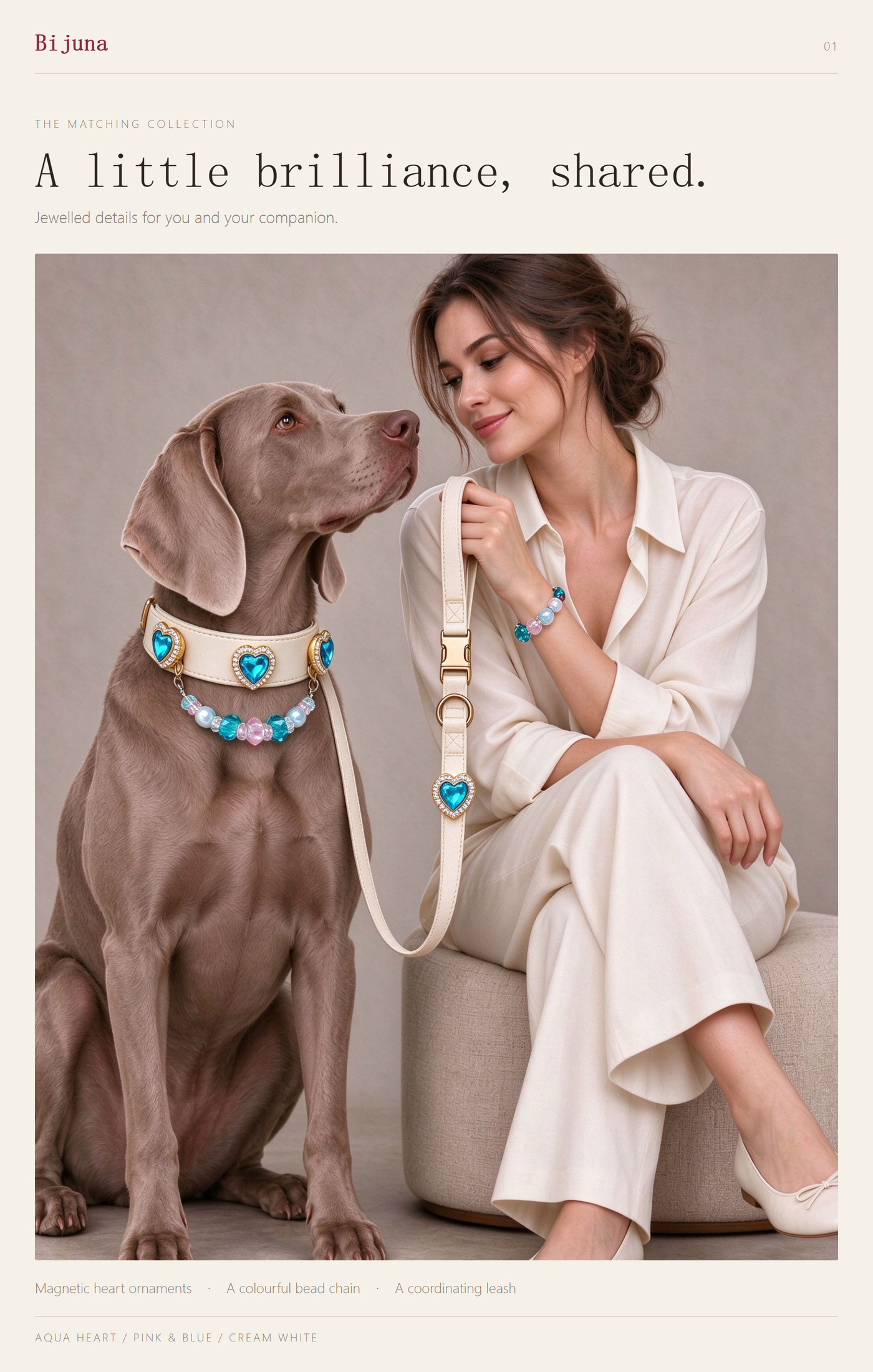 Guía de detalles de Collar Corazón del Océano, 1