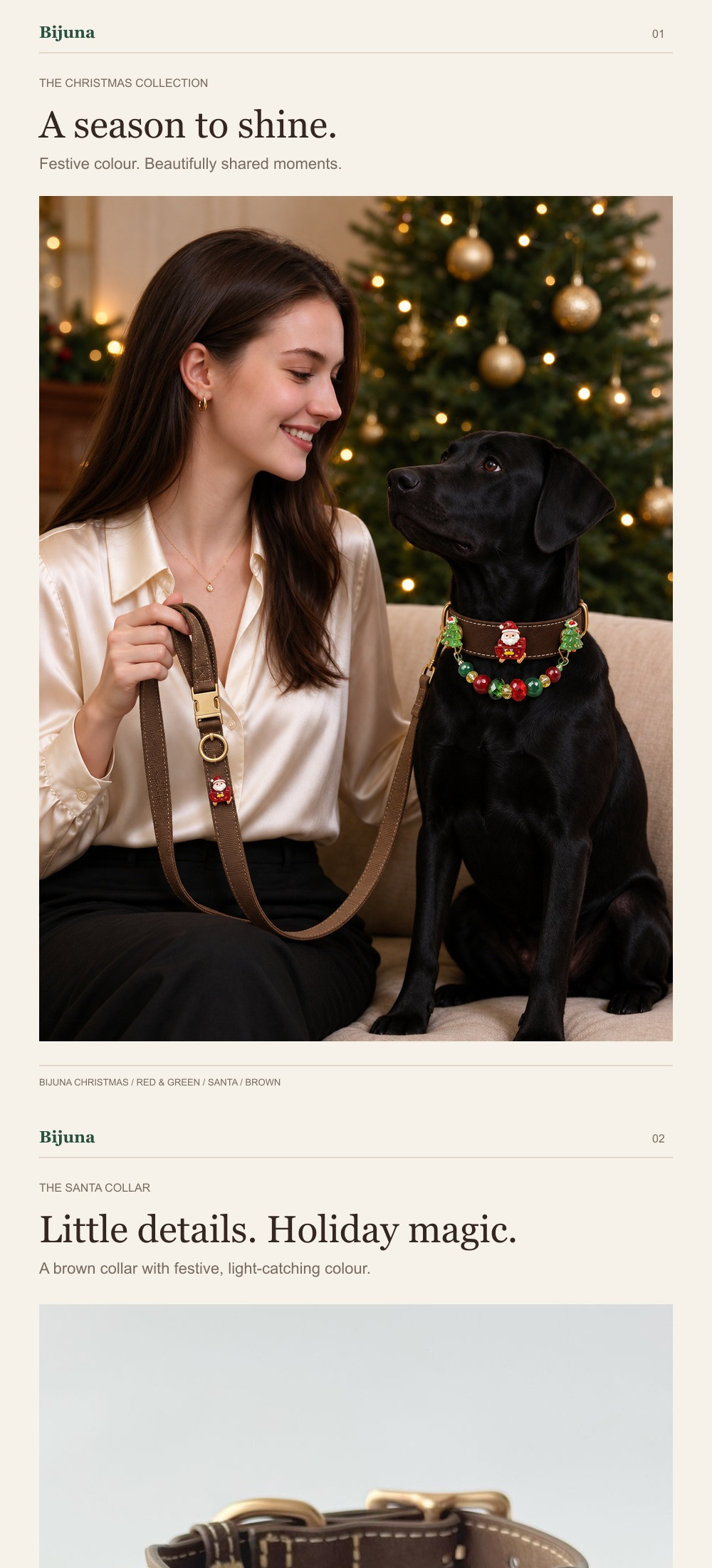 Detailübersicht für Festliches-Weihnachtsmann-Halsband, 1