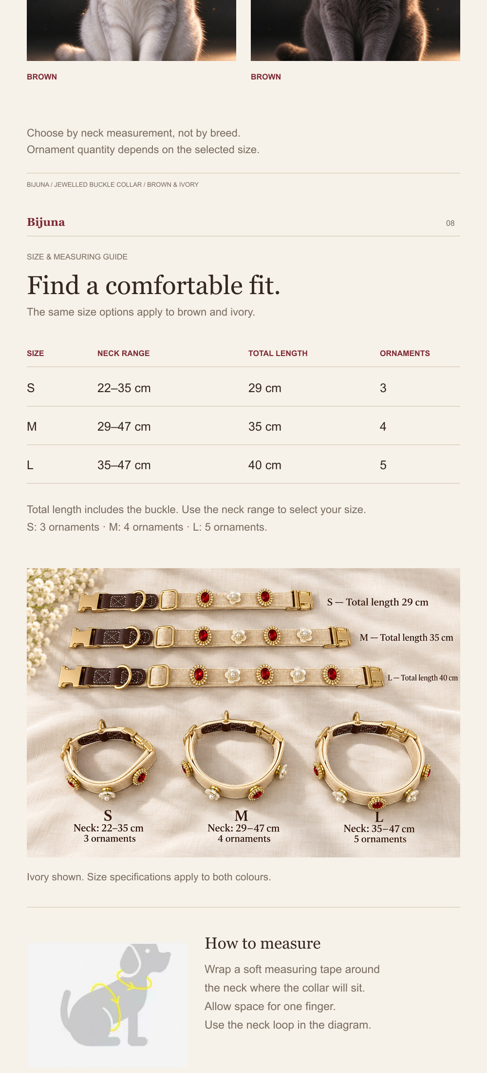 Detailübersicht für Vintage-Scharlach-Schnallenhalsband, 6