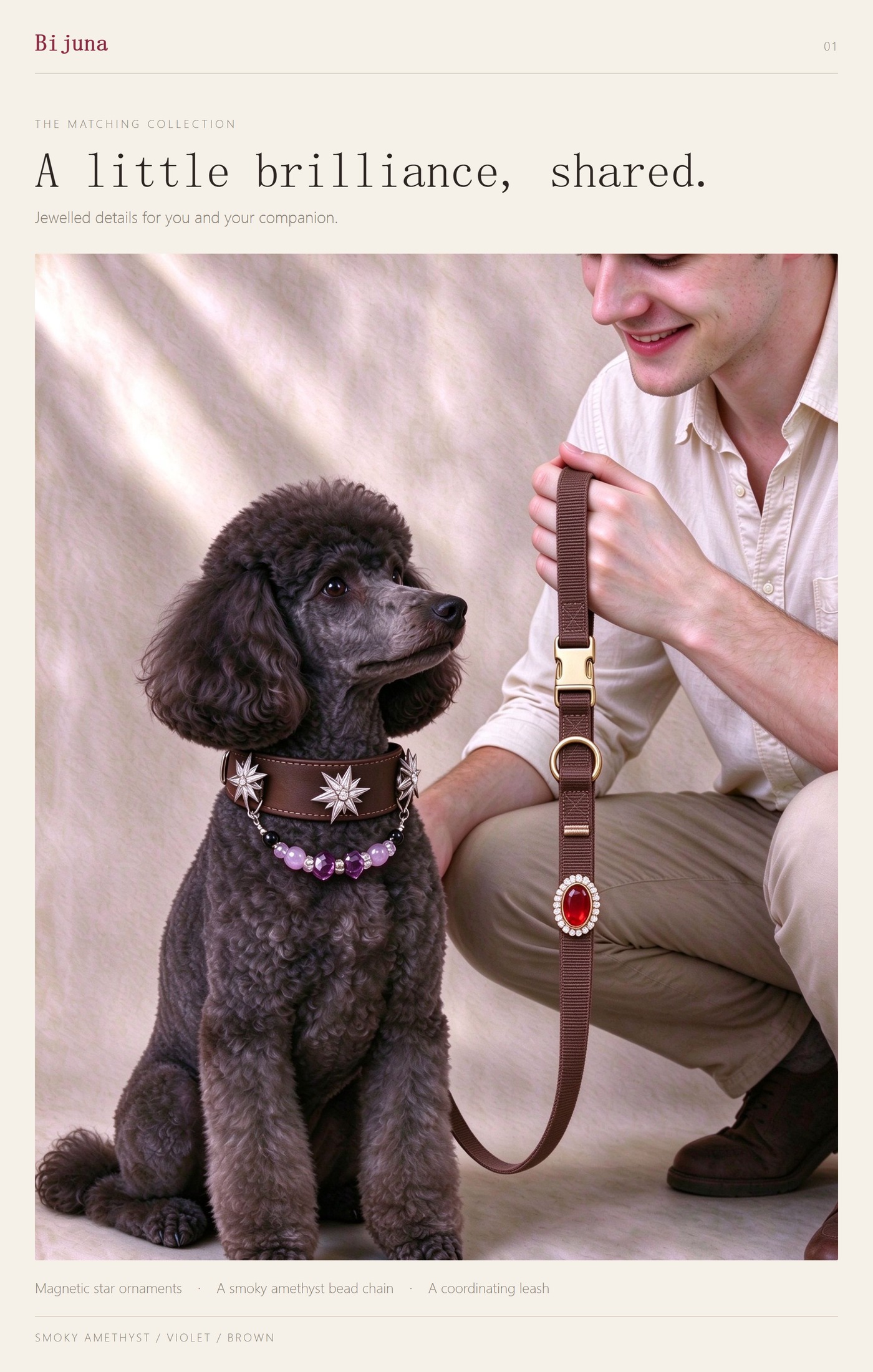 Detailübersicht für Violetter-Achat-Halsband, 1